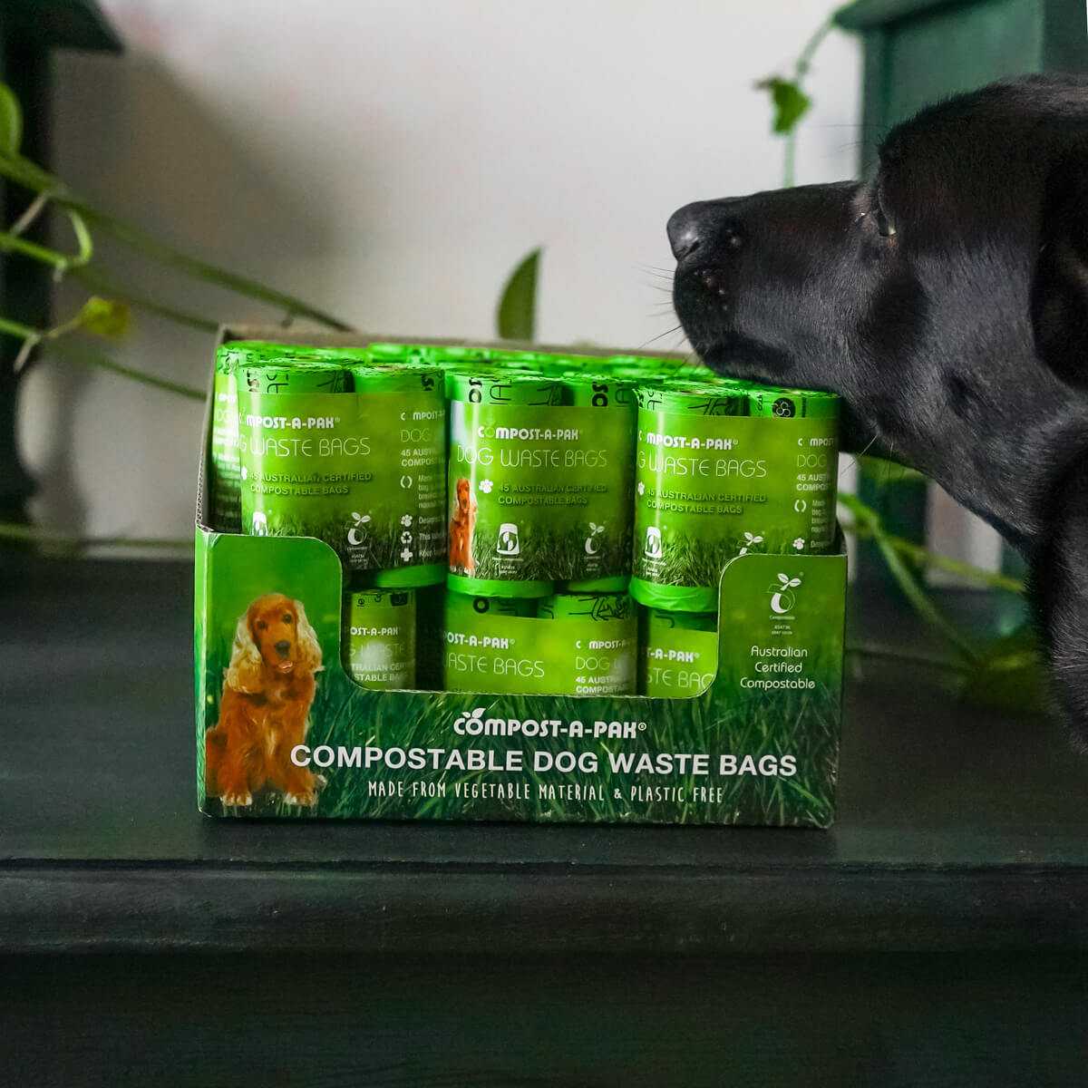 related product display