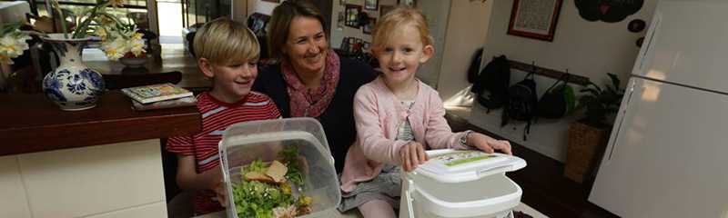 composting food scraps